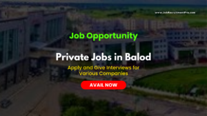 Private Jobs in Balod